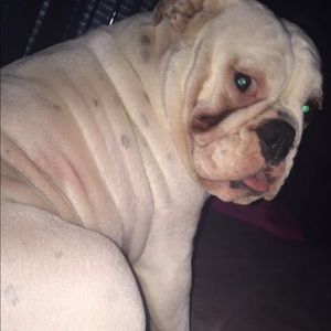 Meet your Posher, Brooke